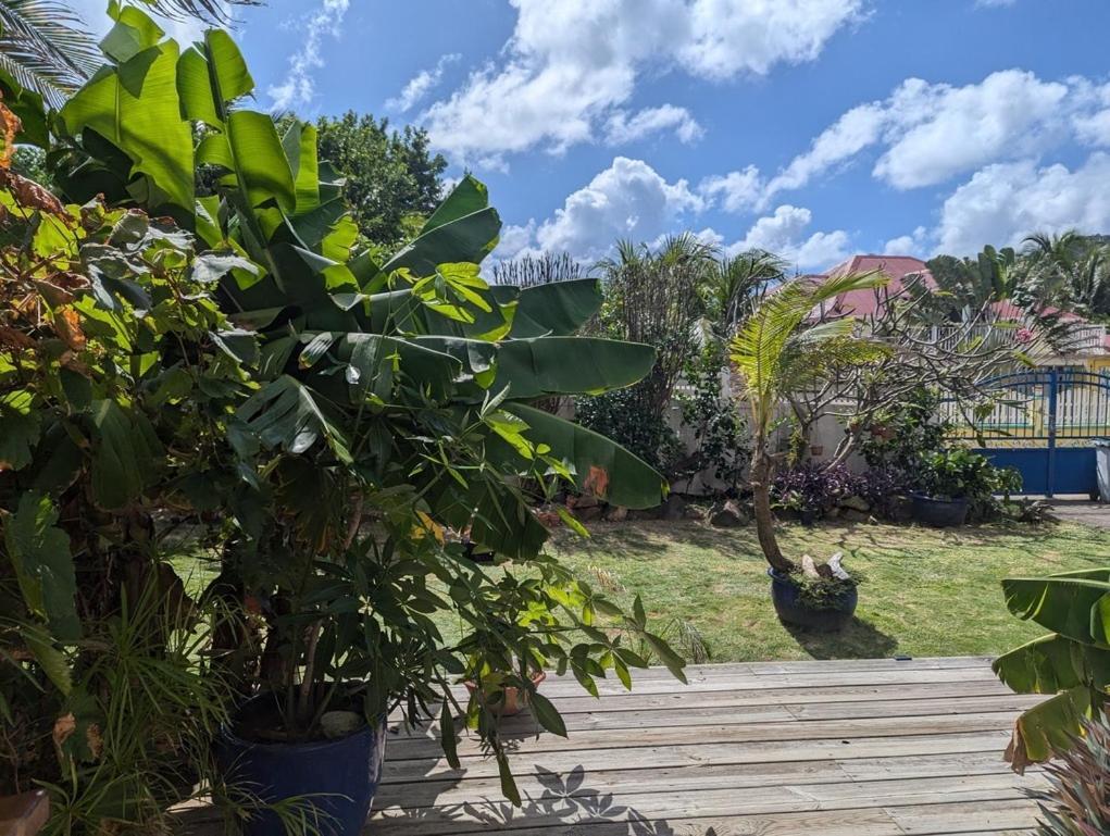 Sur L'Anse Villa Terre-De-Haut Room photo